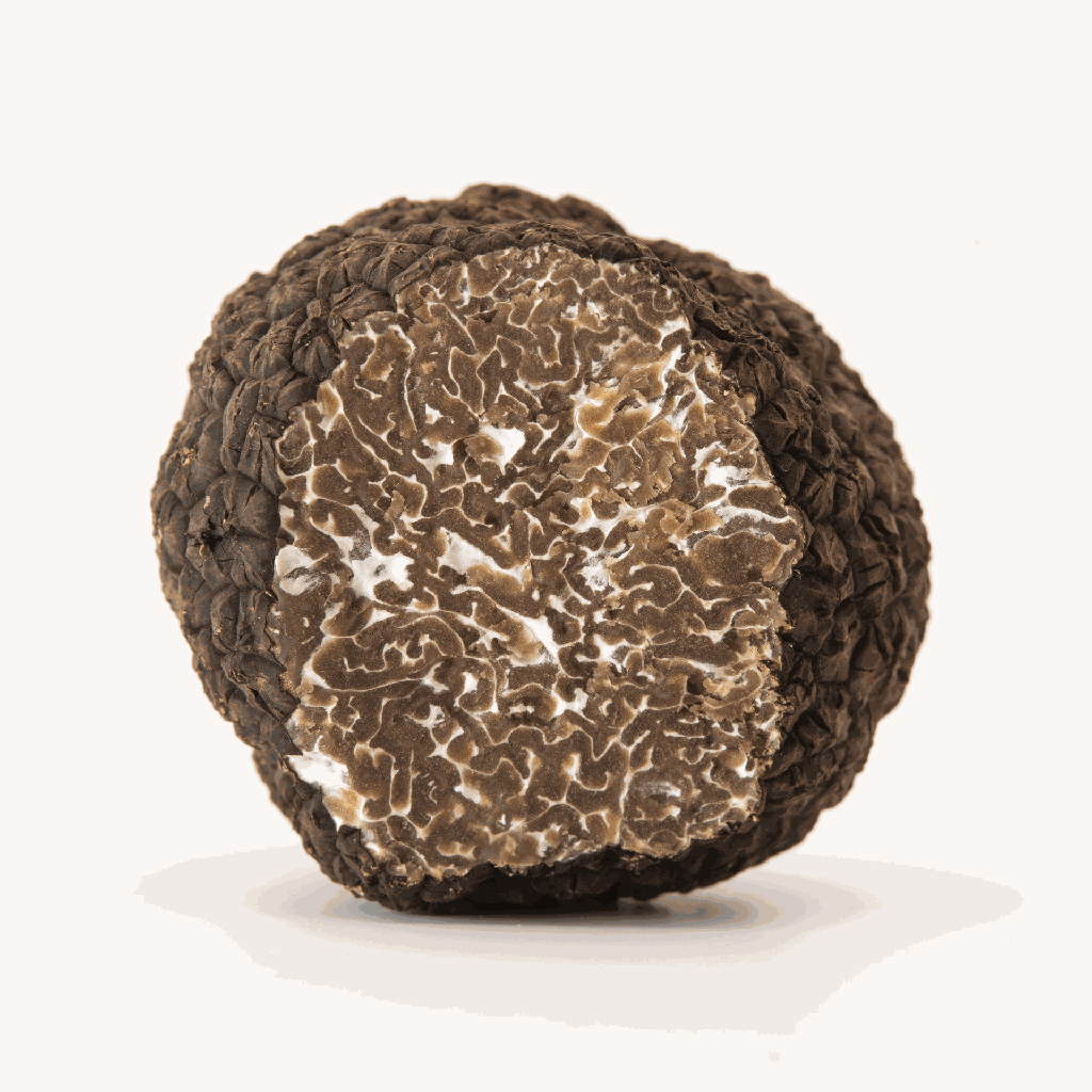 Truffe noire d'automne. Tuber Uncinatum L.2401806 (copie)
