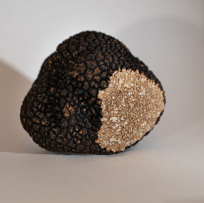 Website only - Truffe noire d'été